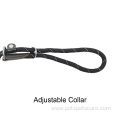 Dog Leash with Comfortable Foam Handle and Reflective